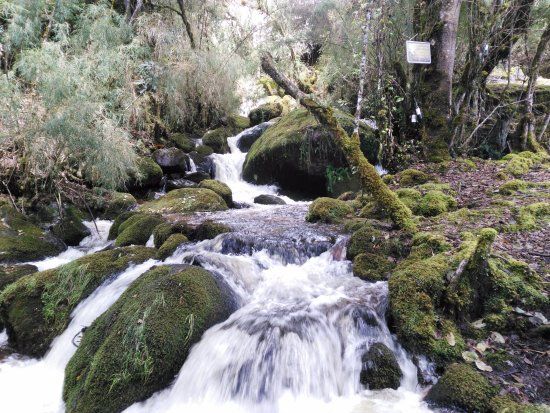 Reserva Natural El Chochal de Siecha