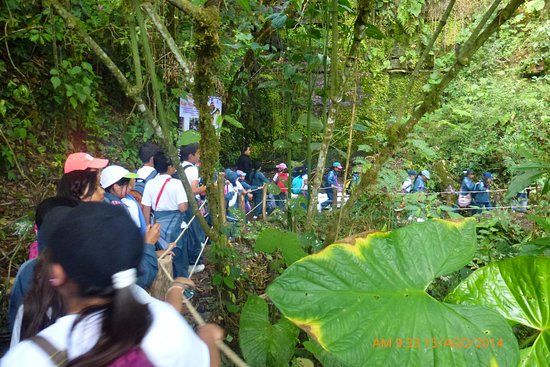 Granja La Cascada Para Colegios