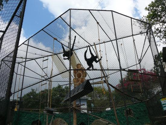 Zoológico Santacruz