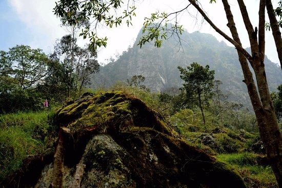 Parque Natural Los Tunos