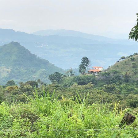 Camino Real de la Mesa